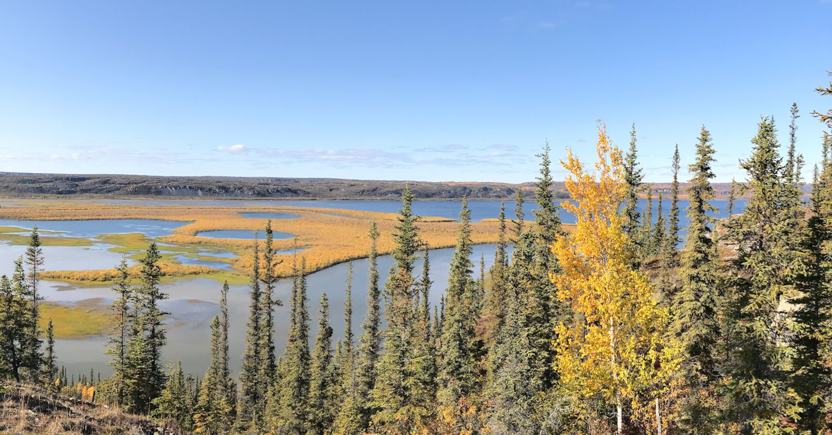 Looking north, Mackenzie River toward the Arctic Ocean