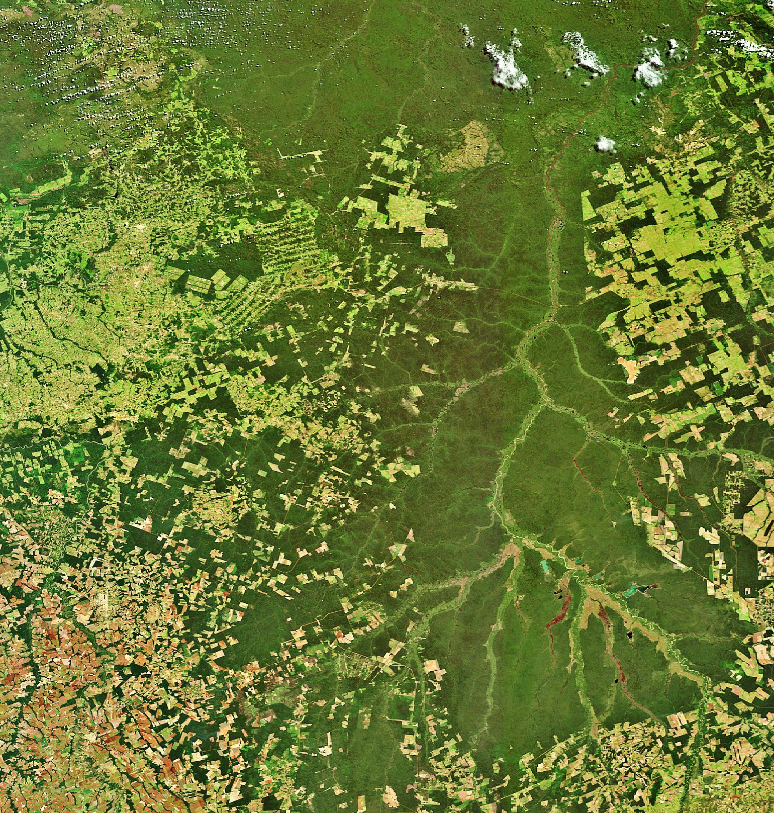 Satellite image of the Xingu River in the Para province in northern Brazil. The PVG project is proposed for the Volta Grande region of the river.
