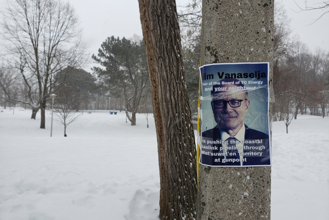 Poster of Vanaselja still up on Monday afternoon, January 24, near his house, at the border of the popular Chorley Park in Rosedale. Author photo.