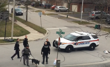York Regional Police in an intersection with police dog and police SUV.