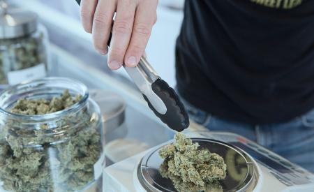 Cannabis being weighed. Photo: Add Weed on Unsplash