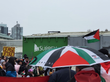 Palestine solidarity rally in Surrey with Palestine flags and umbrella.